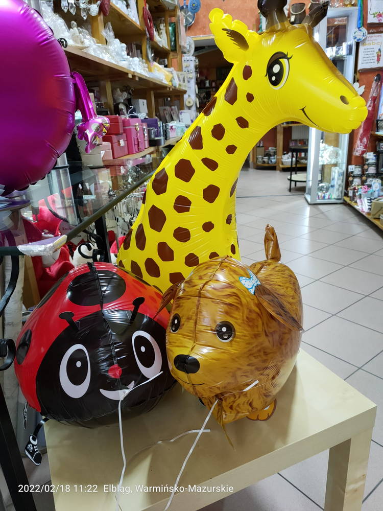 balony napełniane helem - balony chodzące zwierzaki, żyrafa, słoń, piesek, biedronka