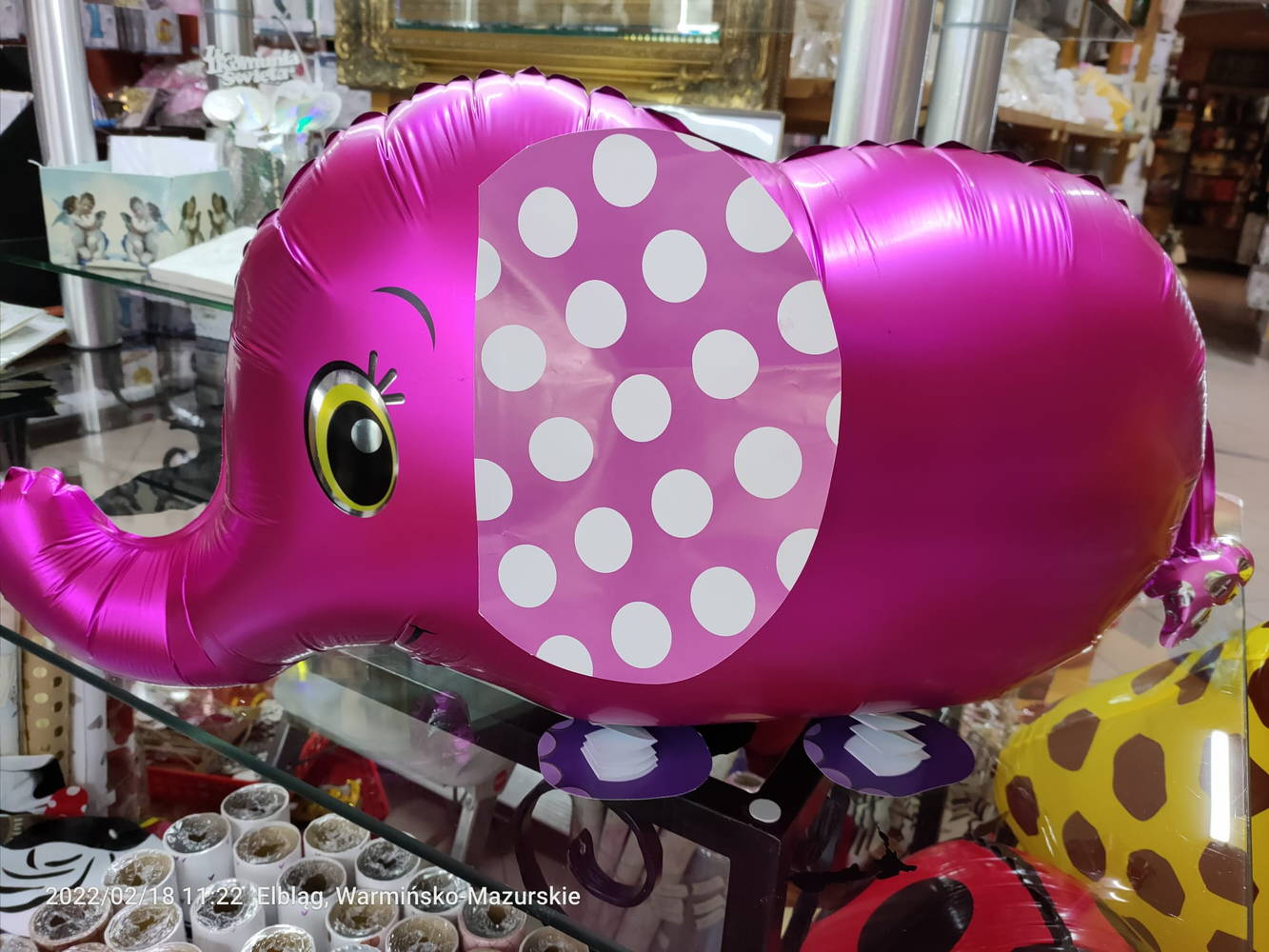balony napełniane helem - balony chodzące zwierzaki, słoń