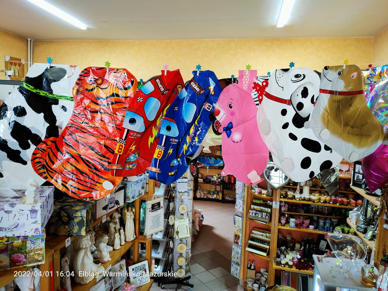 balony napełniane helem - balony chodzące: piesek łaciaty, tygrys, autko sportowe czerwone, autko sportowe niebieskie, królik, pieski