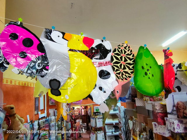 balony napełniane helem - balony chodzące: biedronka, pingwin, kaczka, żółw