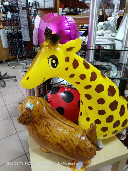balony chodzące zwierzaki żyrafa